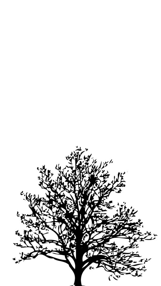 壁纸#黑白#树