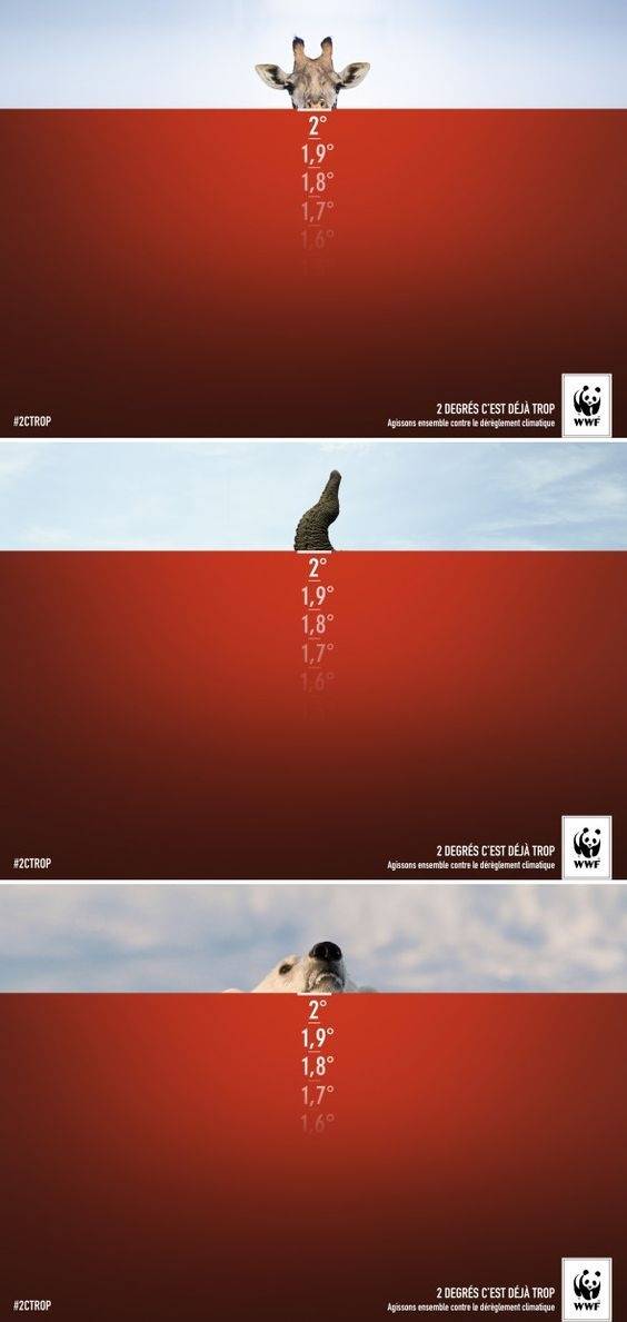 wwf(世界自然基金会)发布的公益海报设计,每一张都给人带来极大的视觉