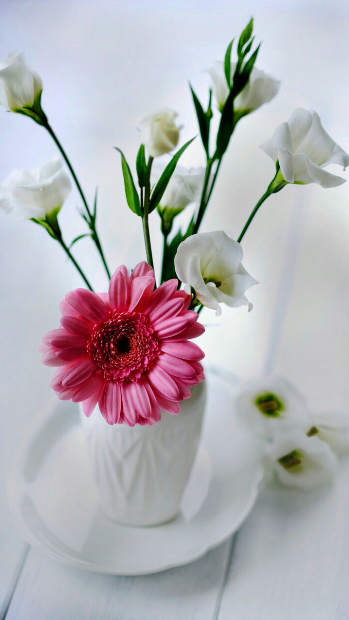 花花