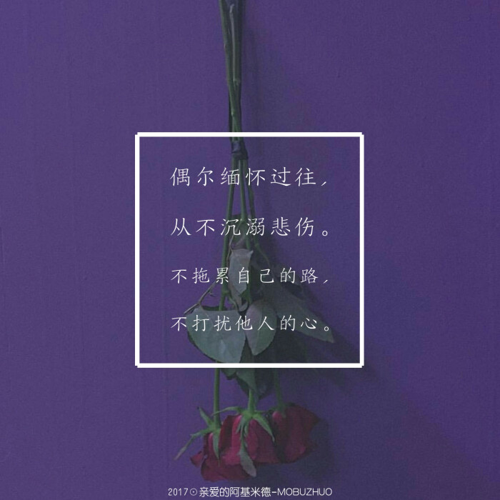 亲爱的阿基米德# 言溯没回头,语调很淡然:"她活着,我用一生寻找她,她