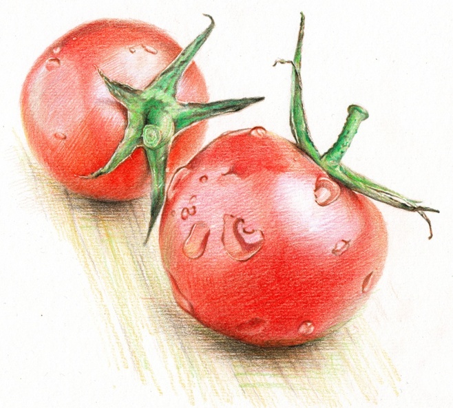 原创作品:2012~2013彩铅画磨笔小.