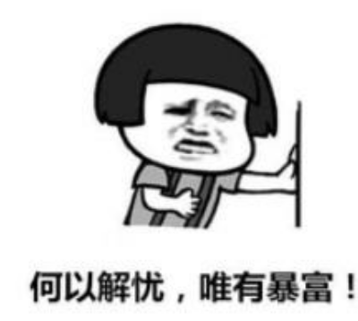 何以解忧唯有暴富