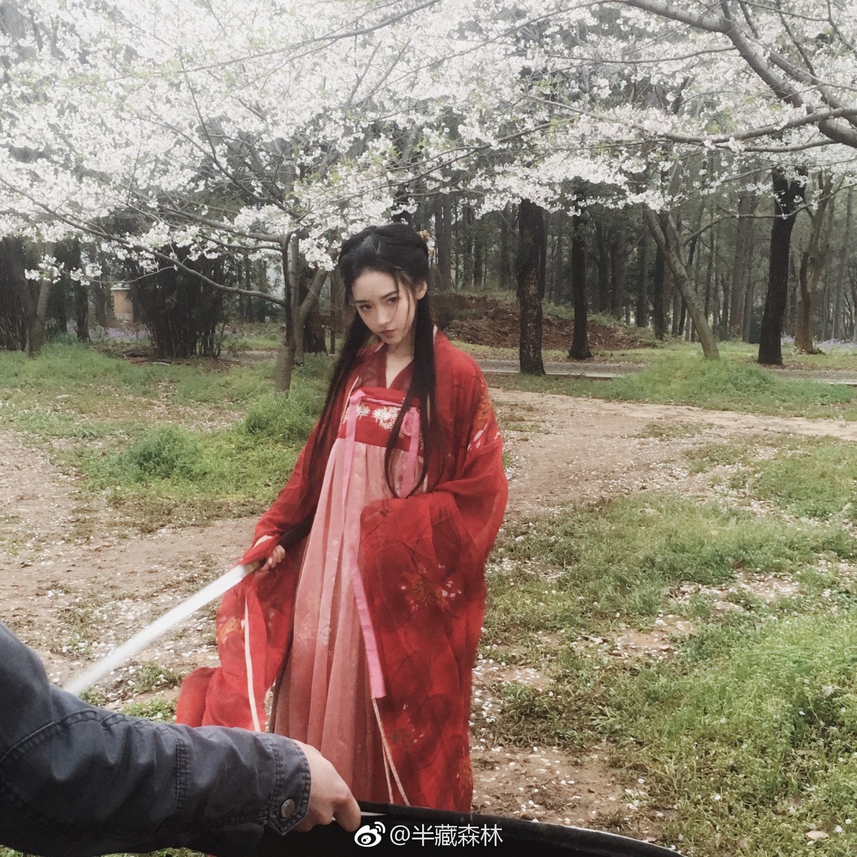 小起,半藏森林,江南素兮,汉元素