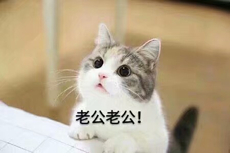 [权熙]微风轻轻起,我好喜欢你二次元 表情包 萌猫 老公