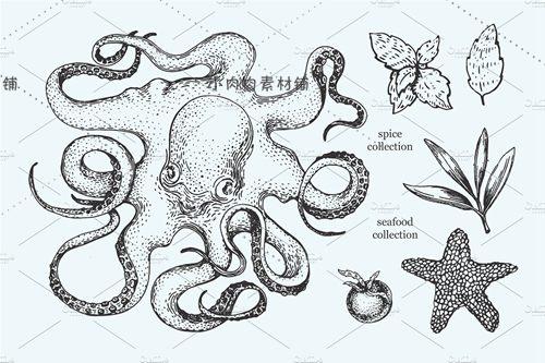 黑白素描海洋生物章鱼螃蟹贝壳海星鱼龙虾线稿图ai矢量素材ai230