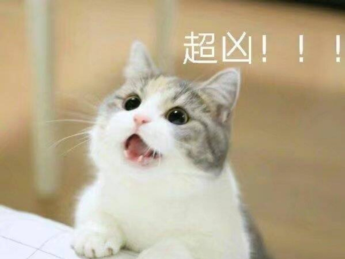 超凶 猫咪表情包