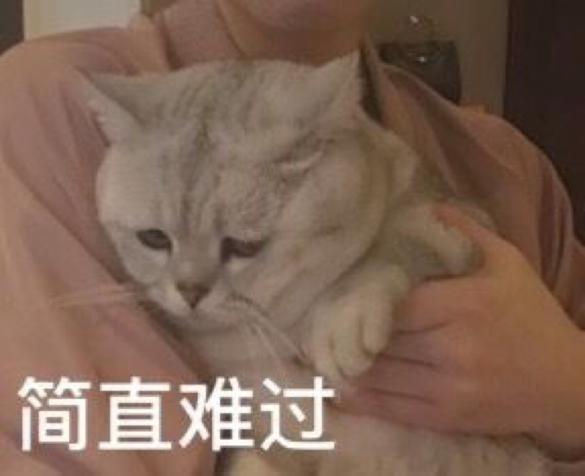 猫咪表情包