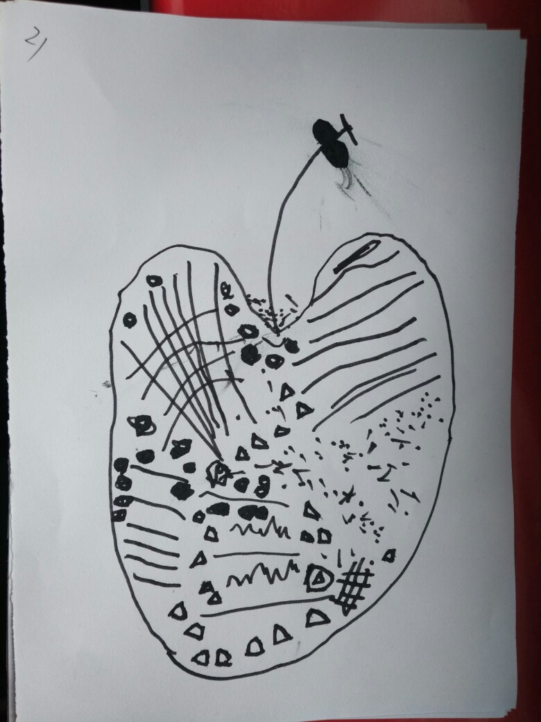 线描画-苹果