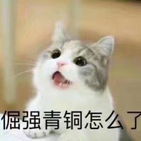 动物表情包.狗表情包.猫表情包.拿小拳拳捶你胸口.猥琐萌表情包.