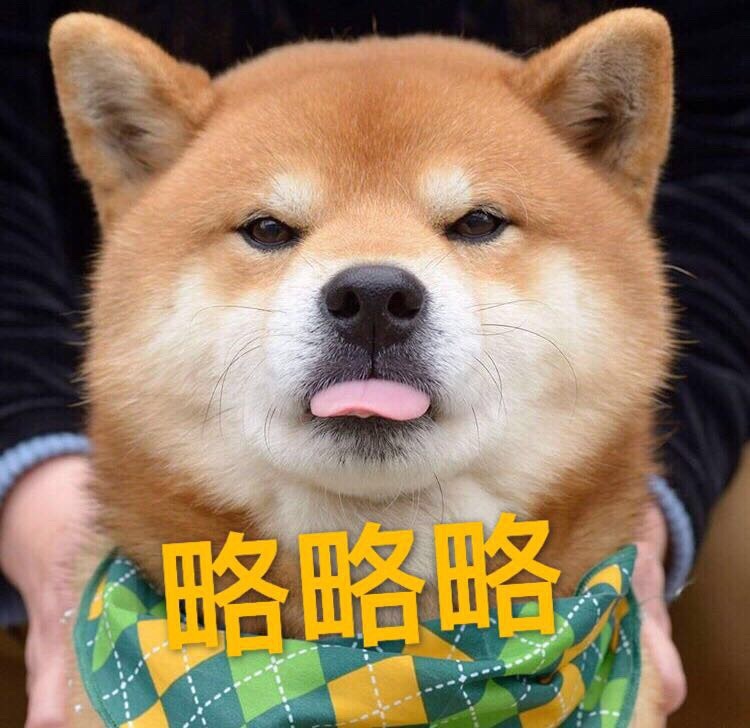 表情包 柴犬