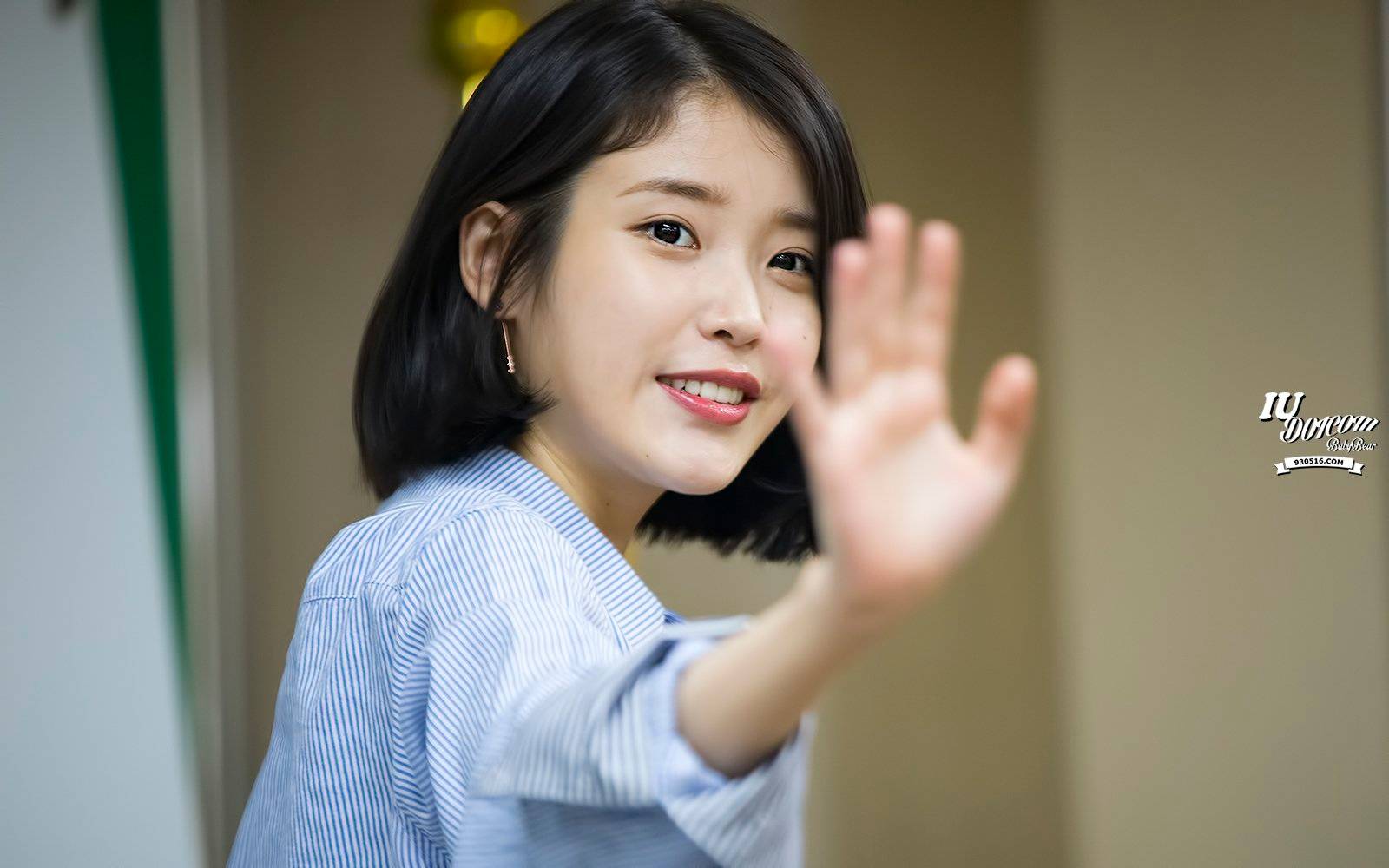 iu 李知恩