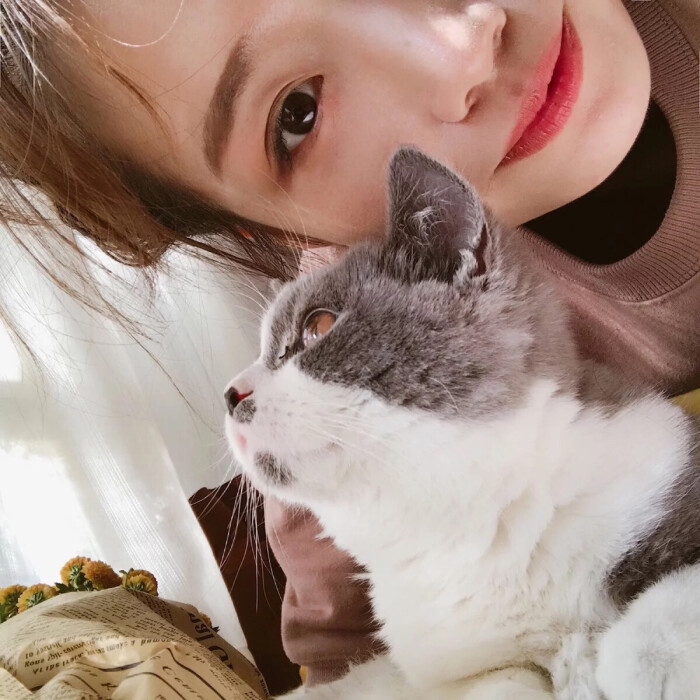 与心爱的猫猫 猫咪 合照的头像你有多少!