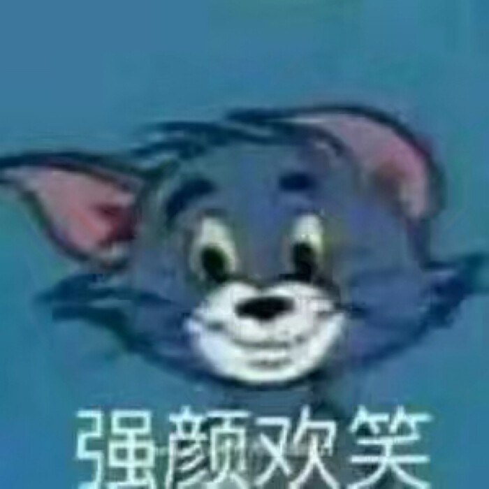 表情包 猫和老鼠