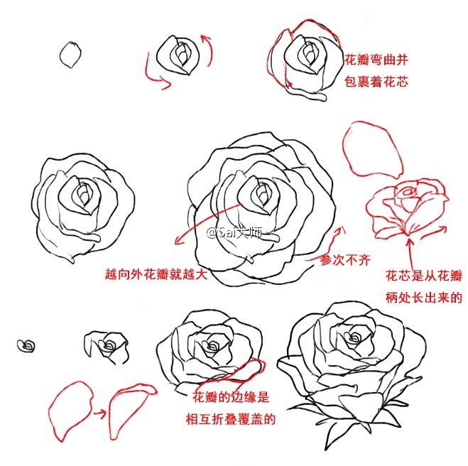 蔷薇的画法