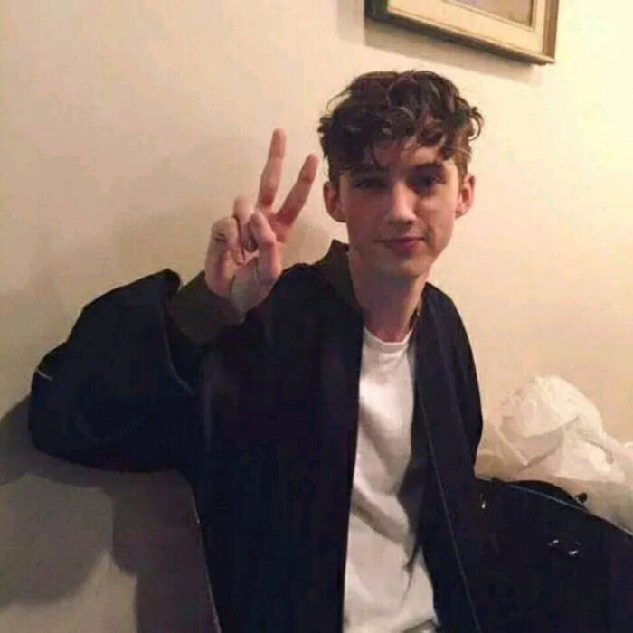 troye sivan[戳爷][头像][壁纸][动图]