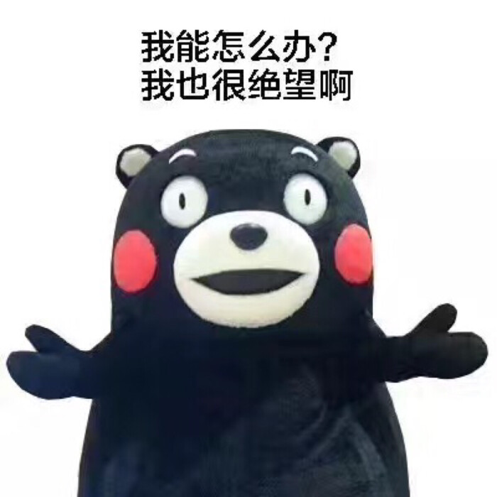 我能怎么办?我也很绝望啊-堆糖,美好生活研究所