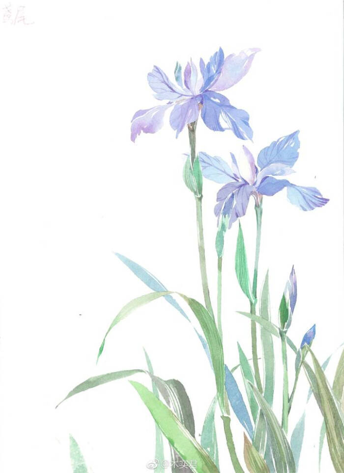 浮生若花,淡淡的盛开,淡淡的素雅,一路芳华,一路馨香,一路优雅.