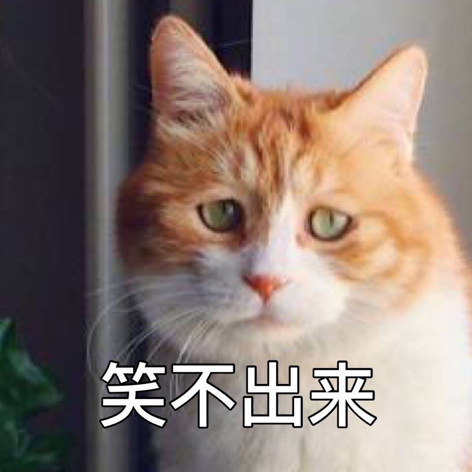 猫日-日吹表情包-丧猫-萌-撸猫系列