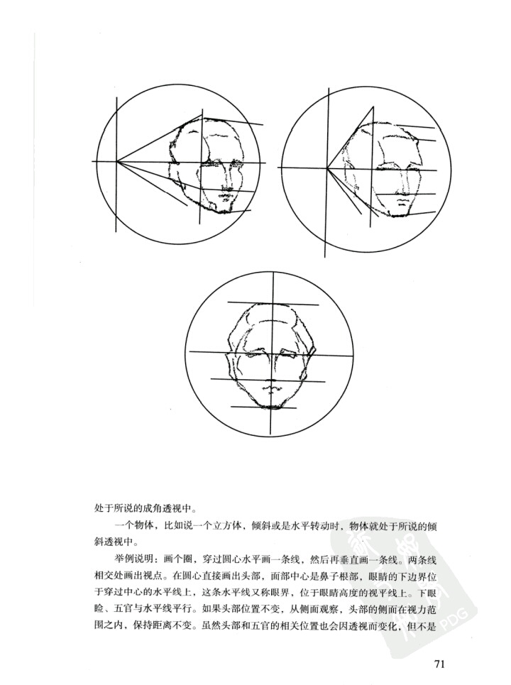 伯里曼p71 头部的透视