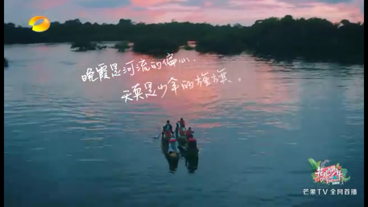 花儿与少年