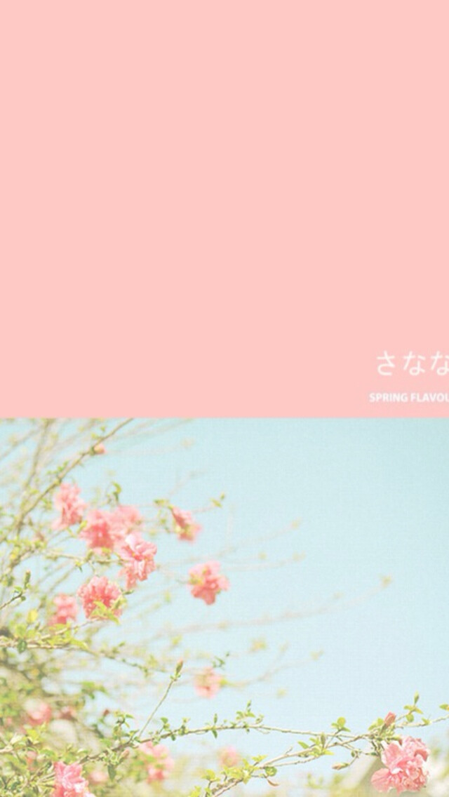 夏日 粉色系 小清新 壁纸 背景