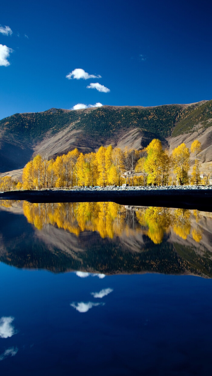 大好山河