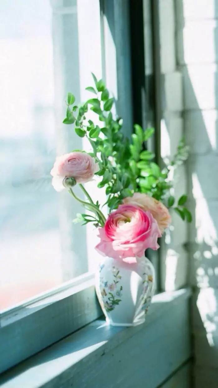 『一花一叶一世界』插花,瓶中花,唯美意境,小清新植物壁纸
