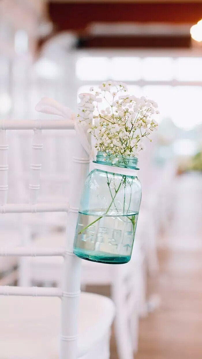 『一花一叶一世界』瓶中花,唯美意境,小清新植物壁纸