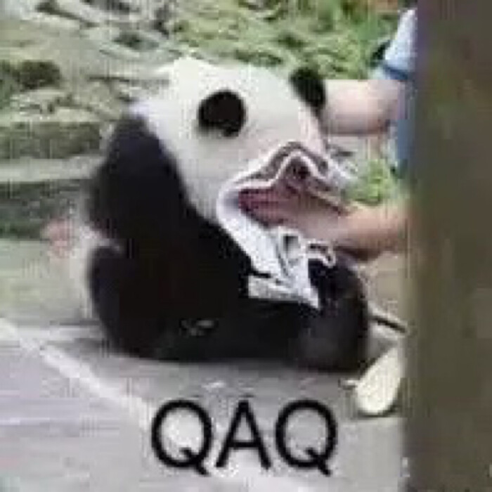 qaq