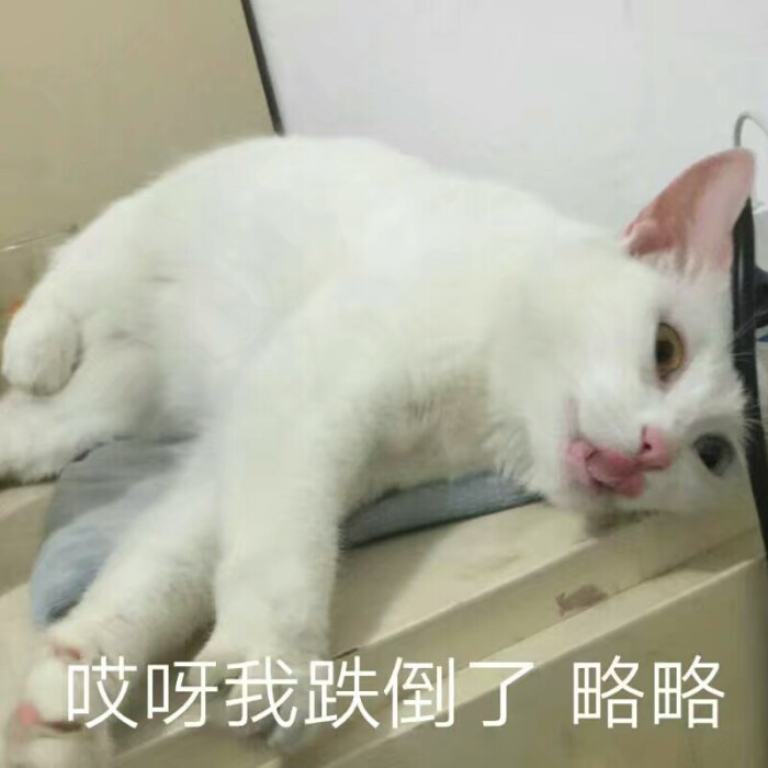 表情包#跌倒了要亲亲才能起来哦