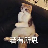 动物表情包.狗表情包.猫表情包.拿小拳拳捶你胸口.猥琐萌表情包.