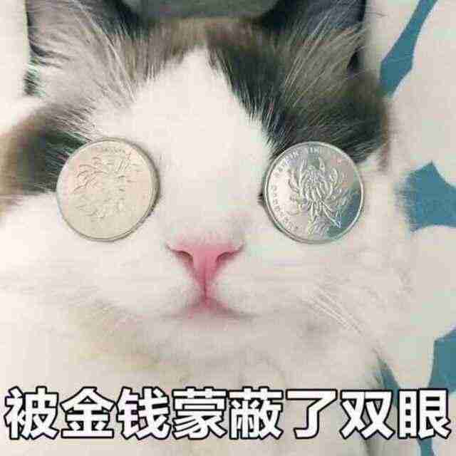 被金钱蒙蔽了双眼