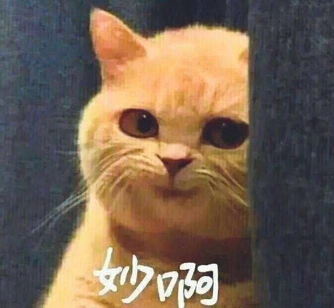 猫 表情包 笑 妙啊