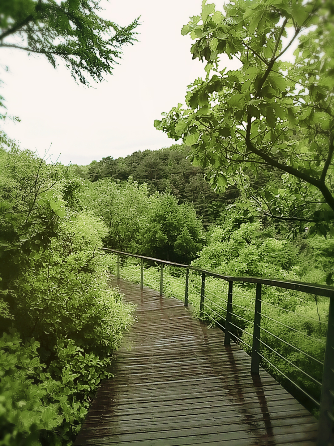 峰回路转,谁知道下一秒会不会柳暗花明