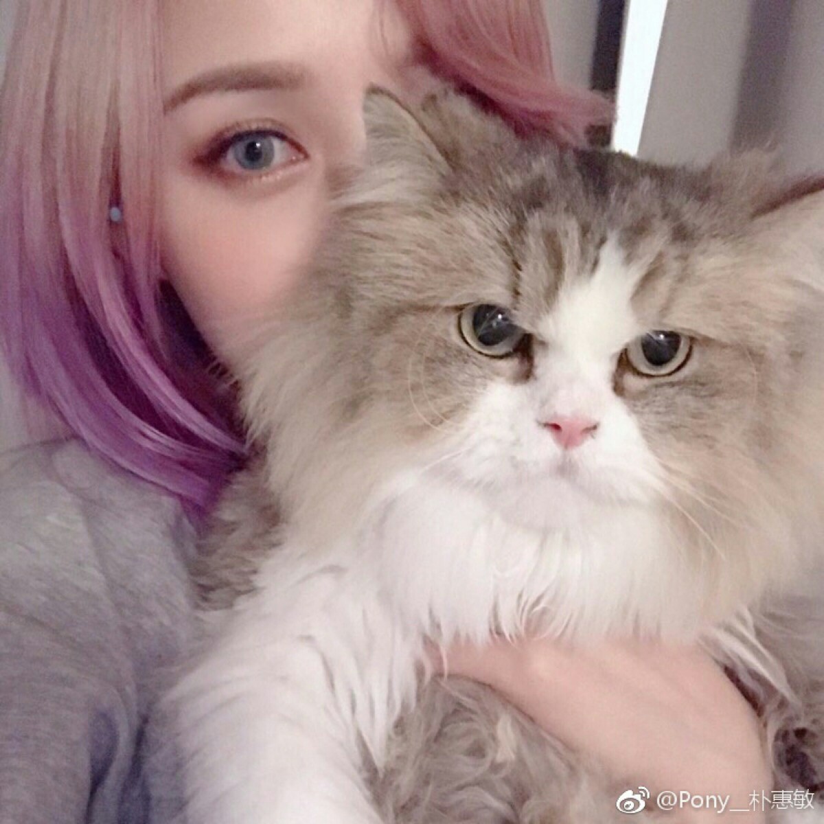 【自截找图】【禁止二传】 自截头像 实拍头像 实拍女头 女生头像