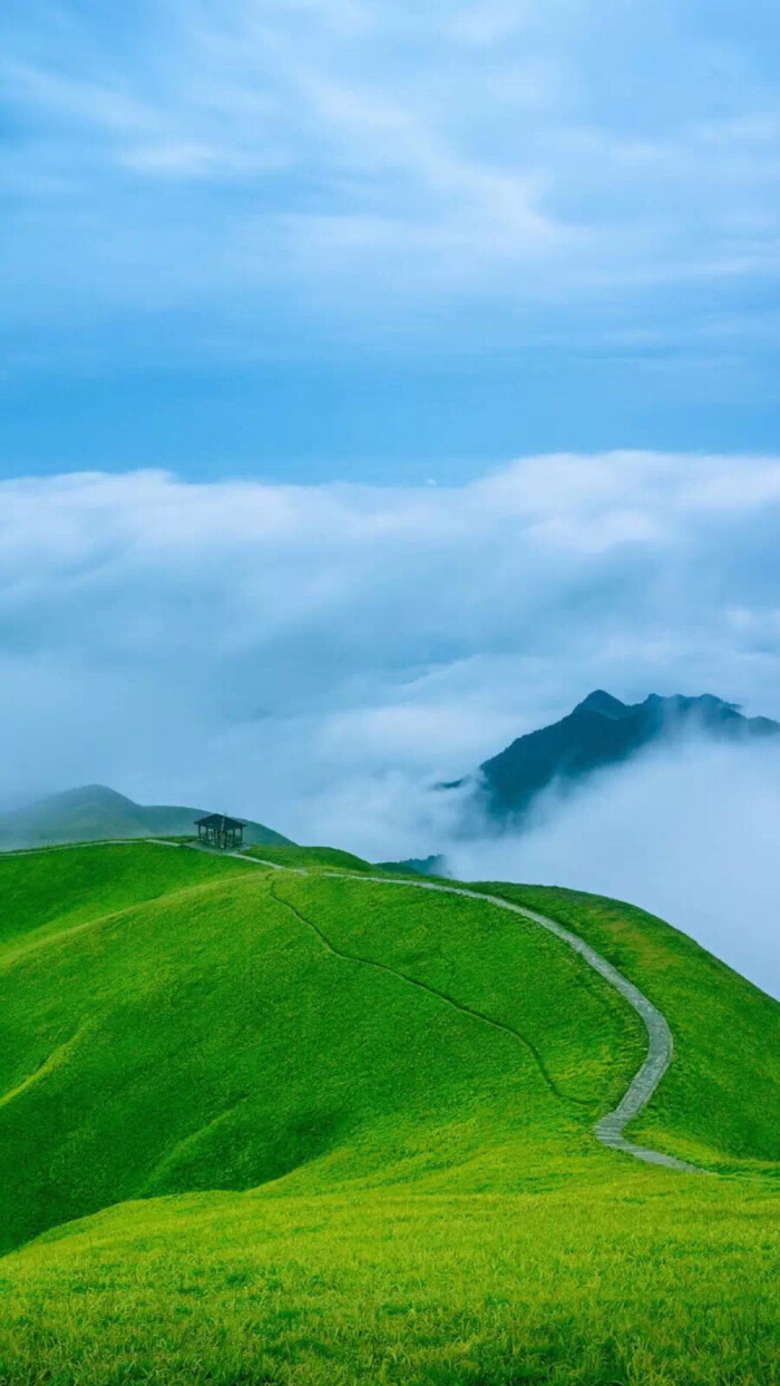 天空 草原
