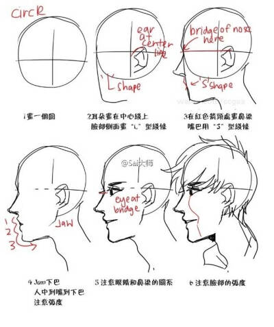 人体