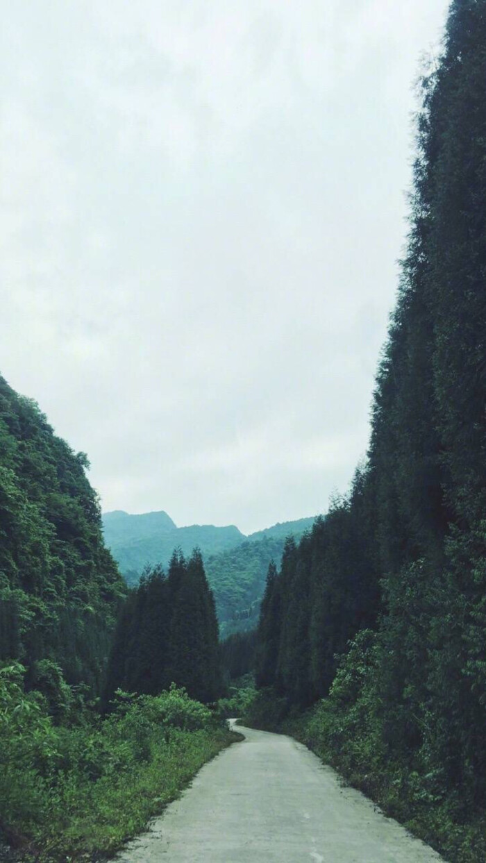 风景 山路 壁纸