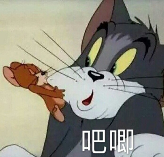 猫和老鼠