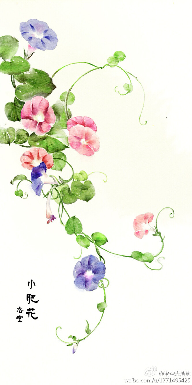 {一花一世界,一叶一如来.}