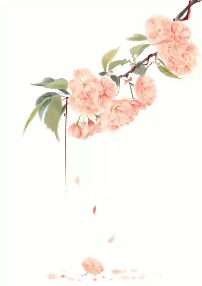 【咩咩】小清新插画 手绘 封面 油画 色彩 水彩 手绘 绘画 素描 动漫