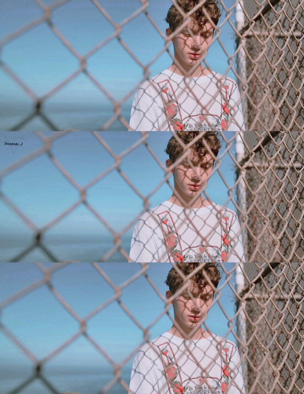 我的天使troyesivan