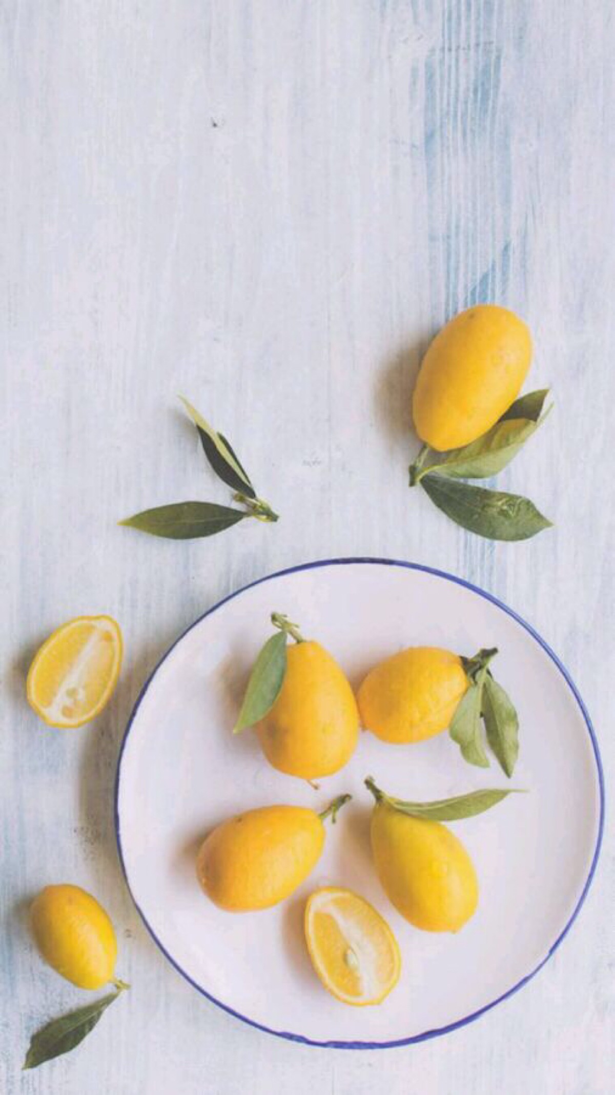柠檬 清新 夏天 壁纸 图片