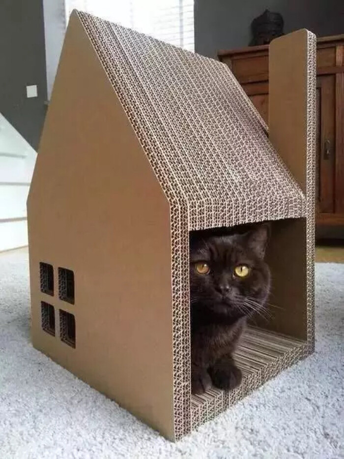 瓦楞纸喵屋