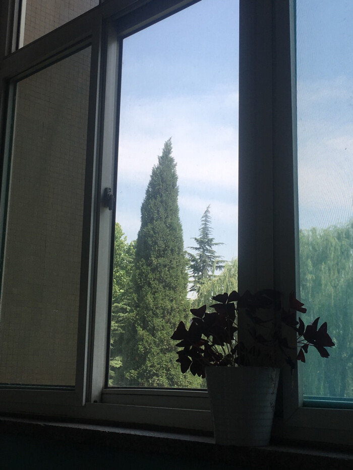 最近一直去图书馆看书,窗户外面景色好美6.7(明天答辩(;07Д`))