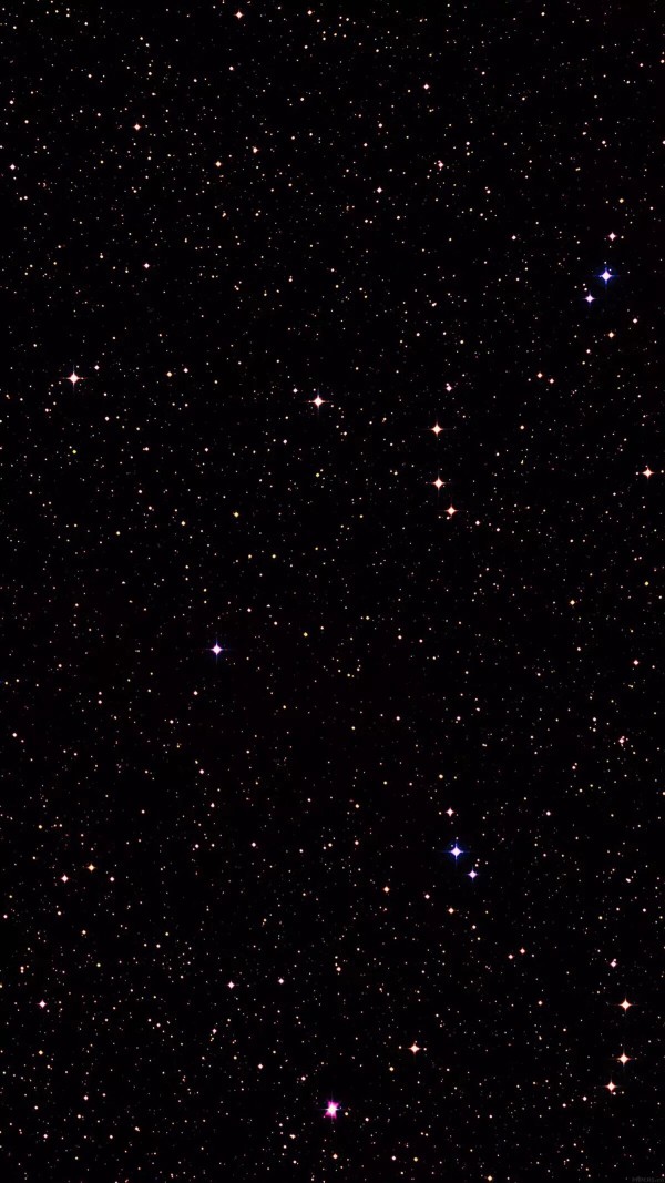 星海