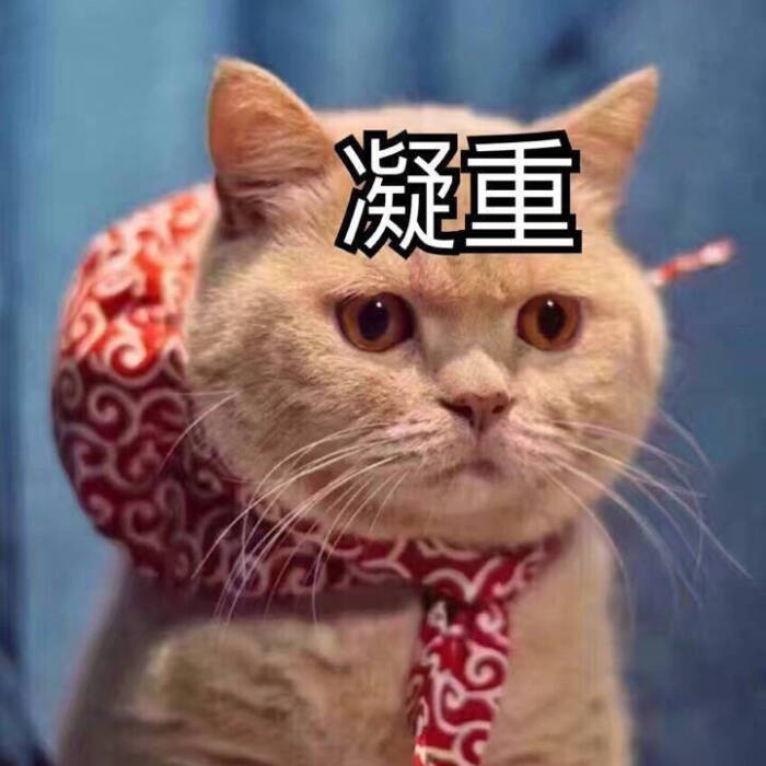 橘猫 凝重表情包