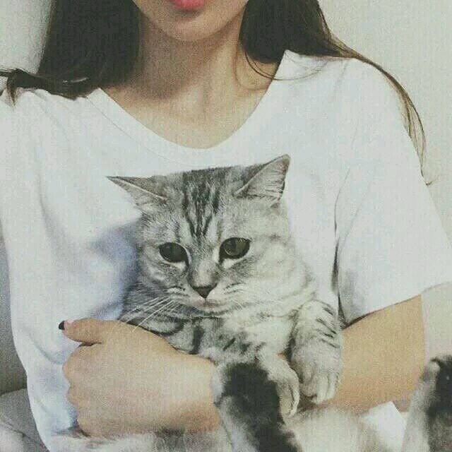 抱猫女头