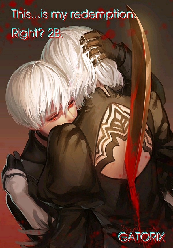 尼尔机械纪元2b&9s