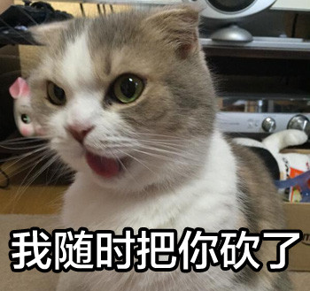 猫咪 小猫 可爱 表情包#这是个有趣的专辑